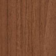 PP 1561 - NoceCanella (SM)