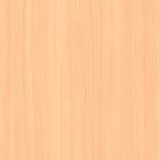 PP 2151 - LightWood (TX)