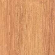 PP 7915 - Nogal (MC)