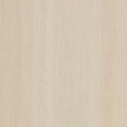 PP 7922 - Chang (RA)