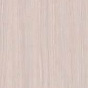 PP 7952 - Ciliegio(TX)