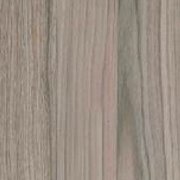 PP 7968 - Thuja (LG)