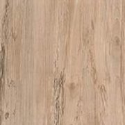 PP 7985 - ZaragozaMaple (UP)